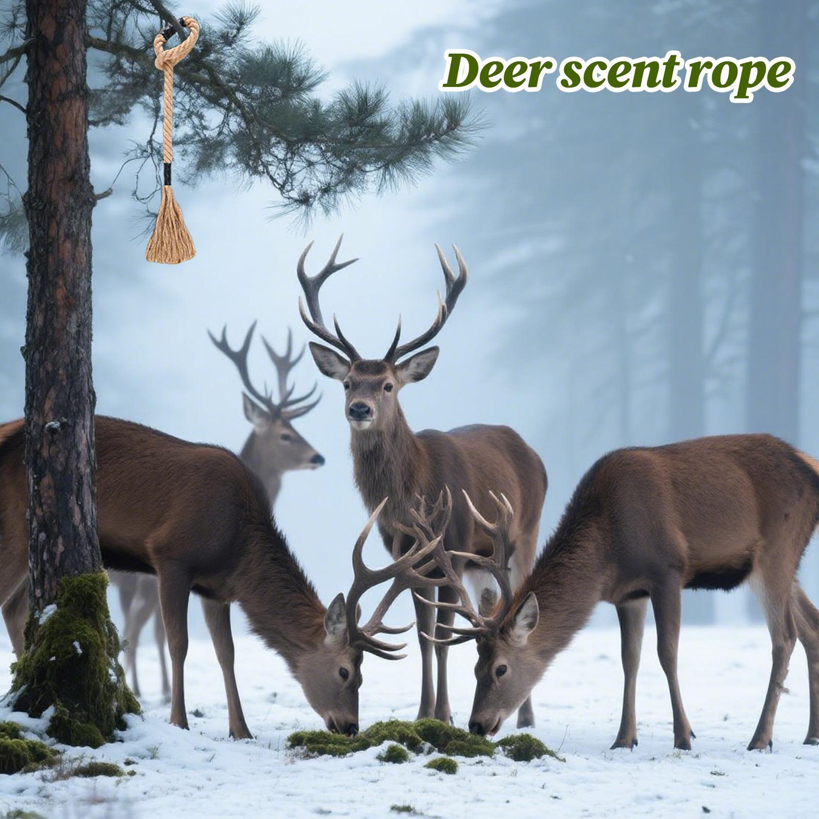 Corda de perfume de cervo efic - Deer Attractant Scent avaliação e preço