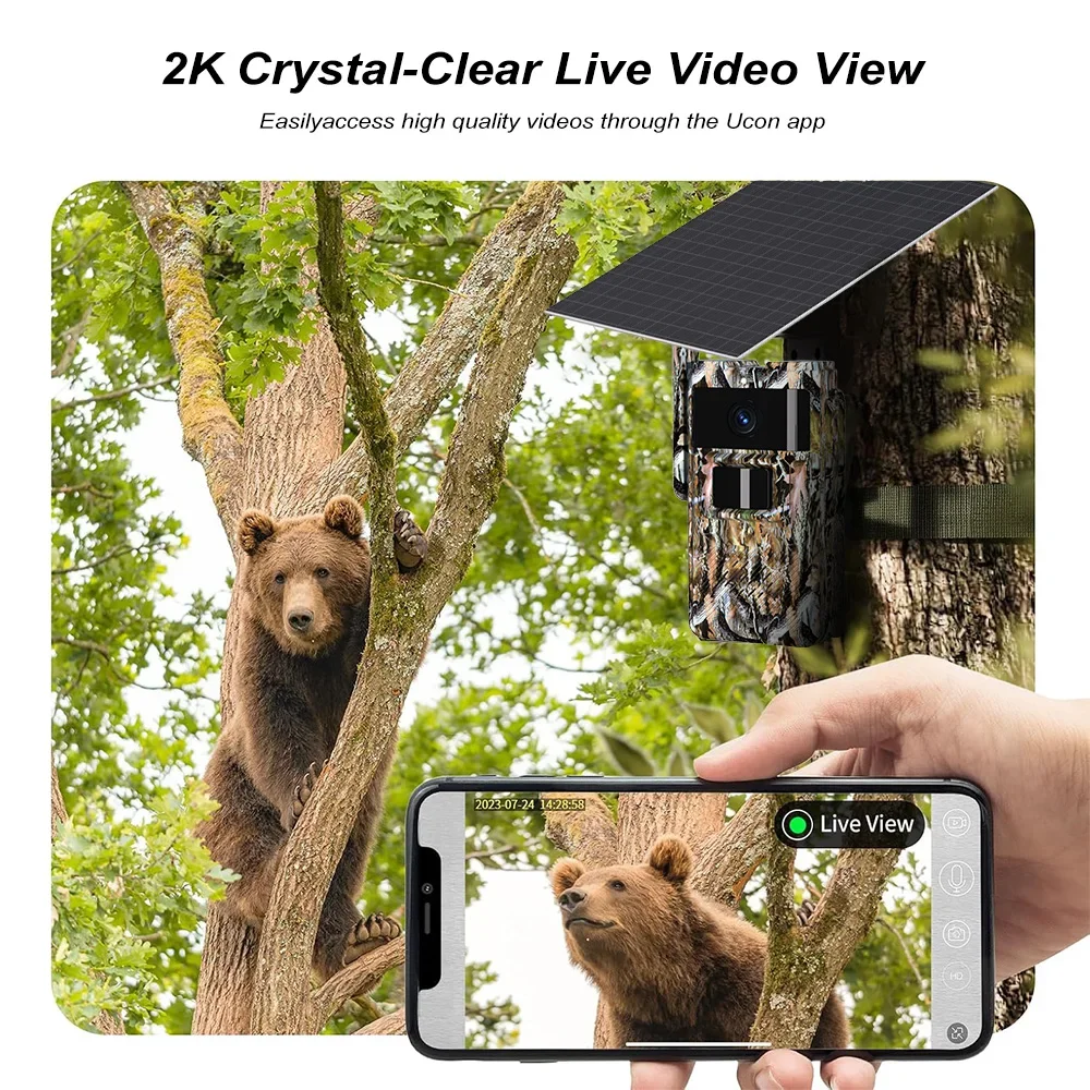Pegatah 4g câmera de trilha mo - Outdoor Hunting Pictures avaliação e preço